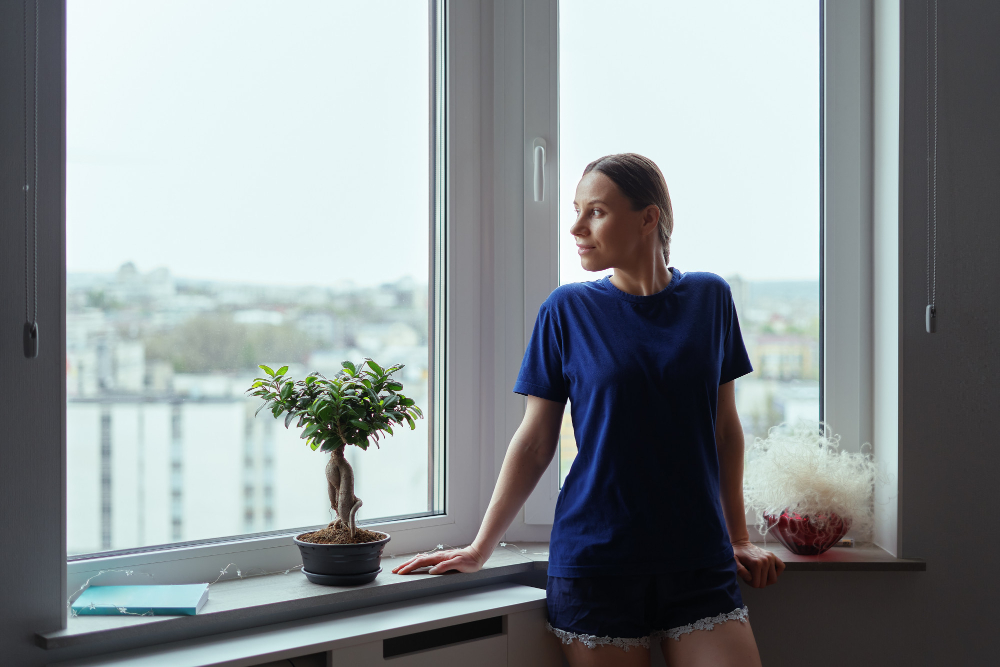 Pierre Window Styles